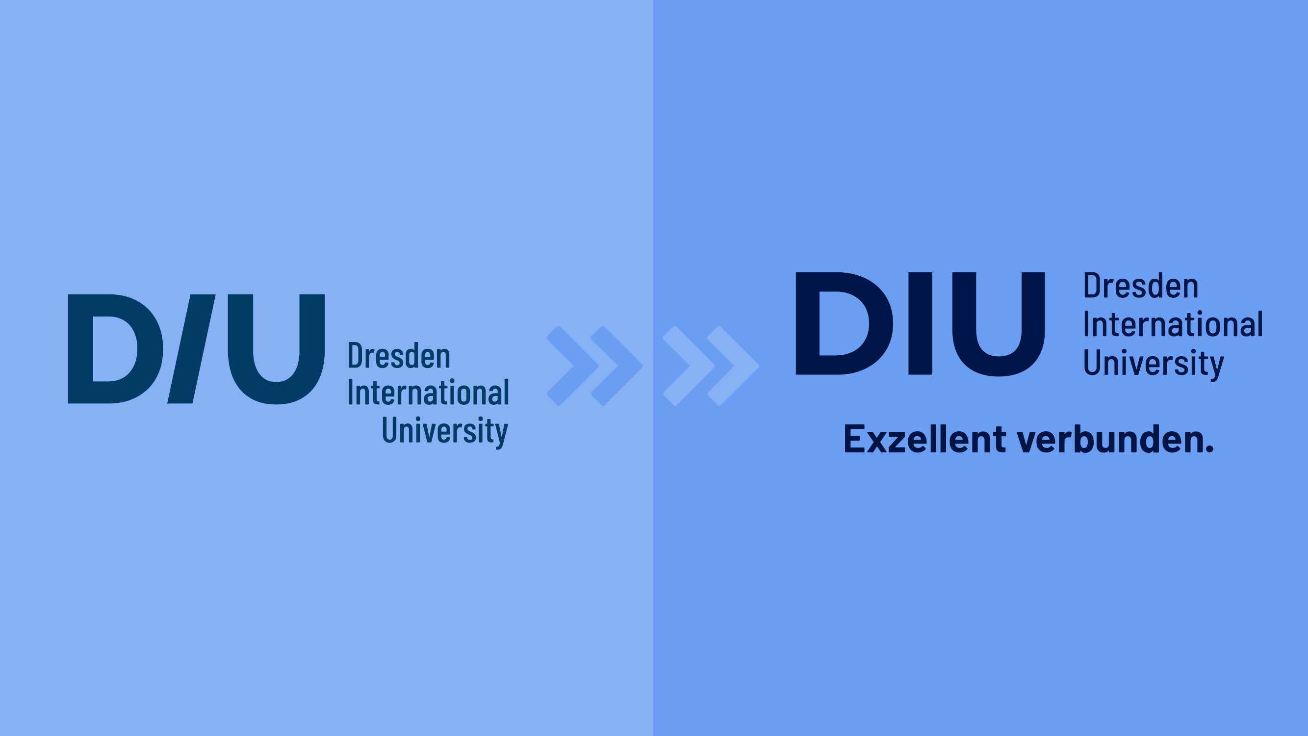 DIU Logo im Vergleich mit alt und neu