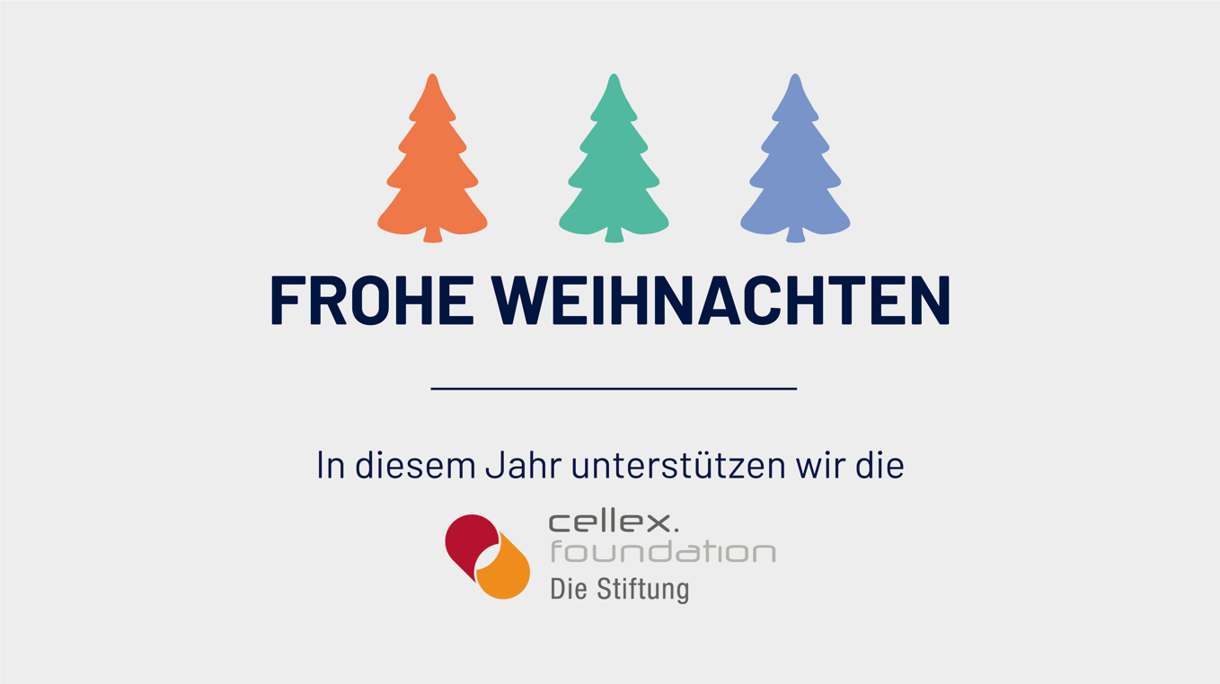Weihnachtskarte der DIU