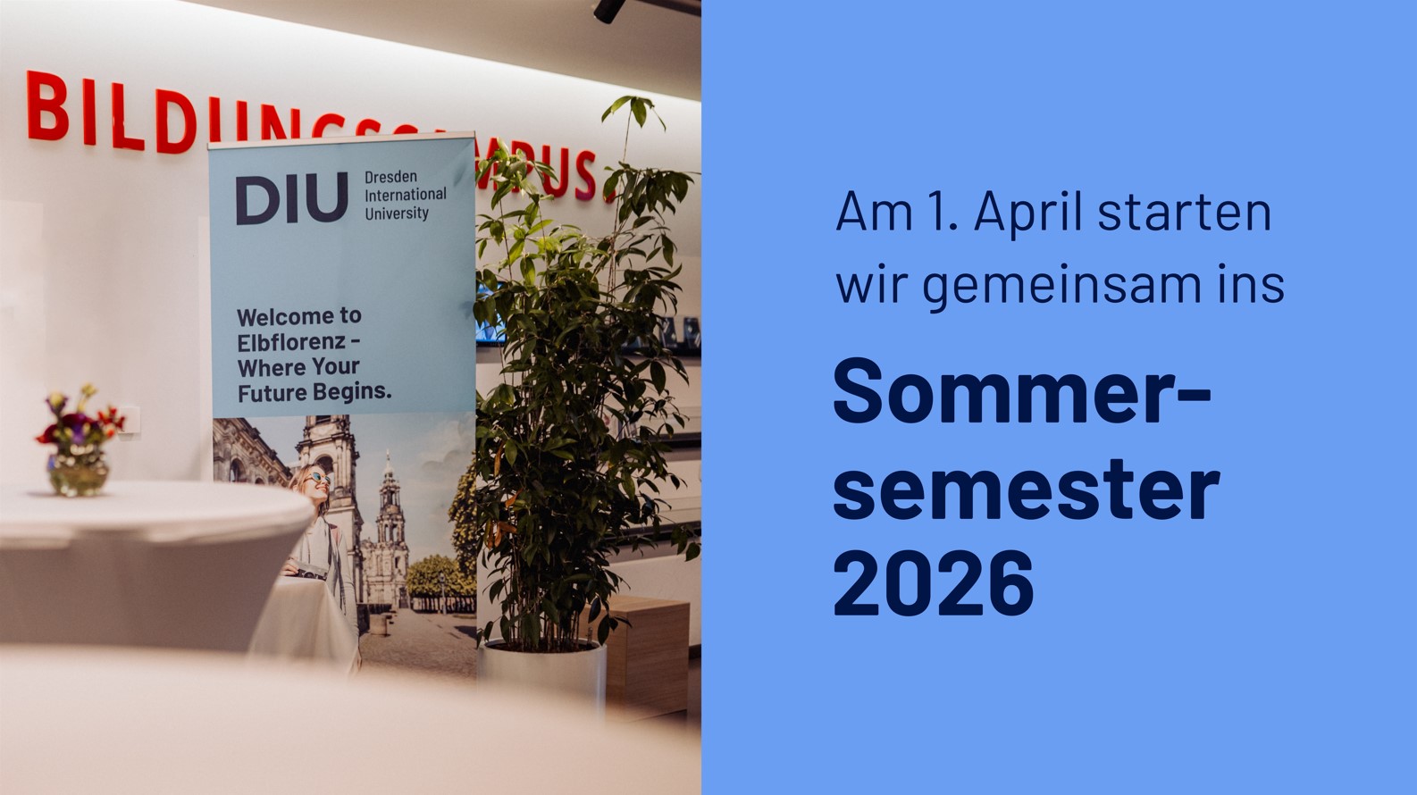 Roll-up mit dem Schriftzug 'DIU Dresden International University Welcome to Elbflorenz - Where Your Future Begins' neben einem großen Topfpflanze in einem Raum mit dem Schriftzug 'Bildungszentrum' in Großbuchstaben an der Wand.